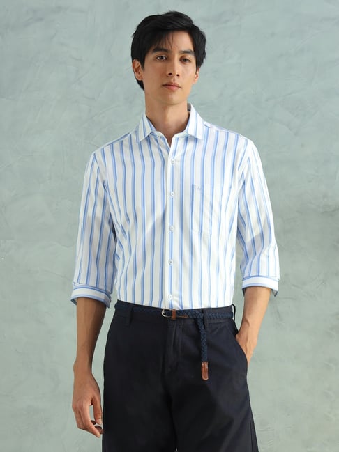 Arrow Blue Cotton Slim Fit Striped Shirt