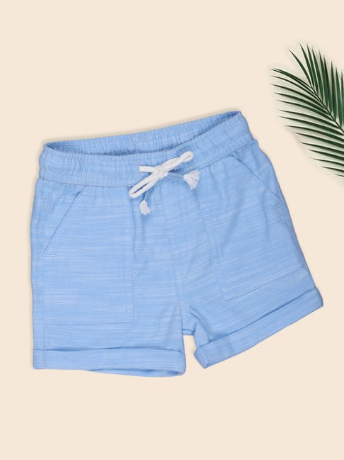 Pantaloons Baby Boys Dutch Canal Textured Shorts