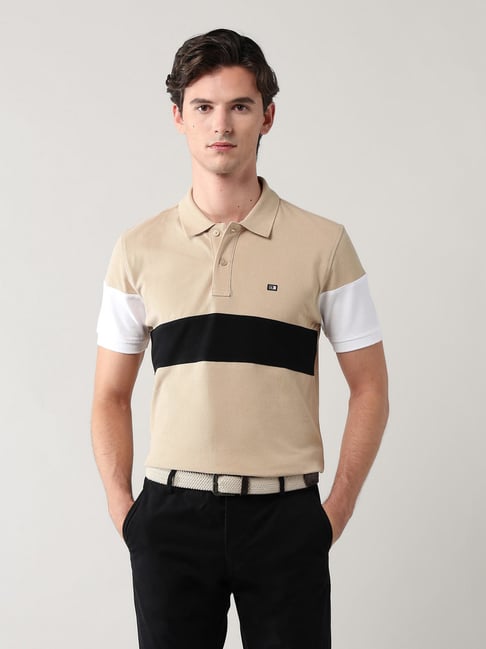 Arrow Sport Beige Cotton Regular Fit Colourblocked Polo T-Shirt-picture-29