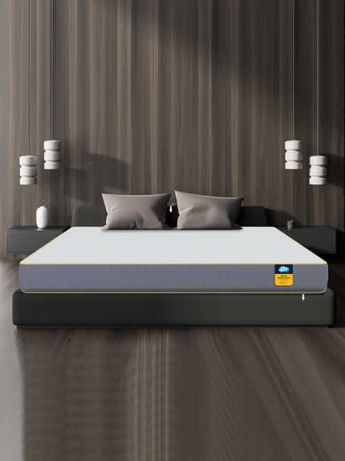 Centuary Mattresses White Foam Queen Sleepables Orthopedic Back Support Pressure Mattress