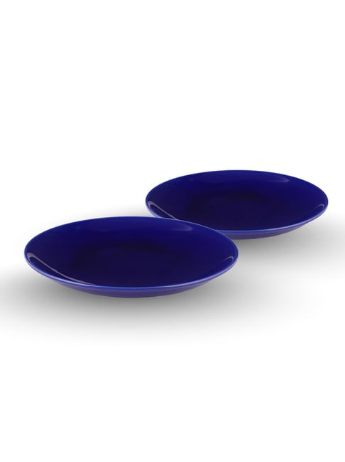 Table & Tale Blue Porcelain Dinner Plates - Set of 2-picture-46