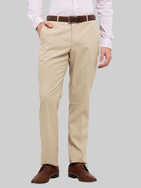 Park Avenue Fawn Regular Fit Striped Trousers-picture-11