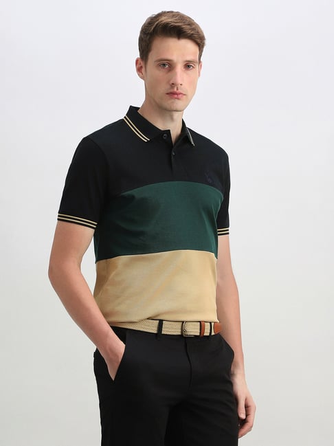Allen Solly Multi Color Cotton Regular Fit Colourblocked Polo T-Shirt-picture-35