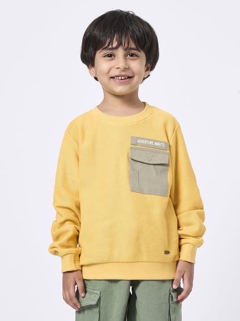 Ed-a-Mamma Yellow Cotton Regular Fit Textured Sweatshirt-image-34
