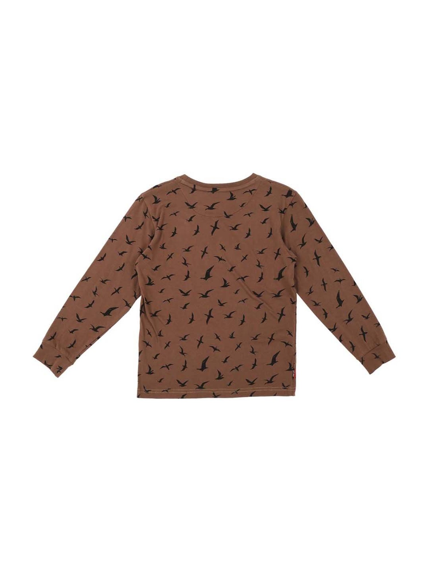 Buy Gini & Jony Kids Brown Cotton Printed T-Shirt for Boys