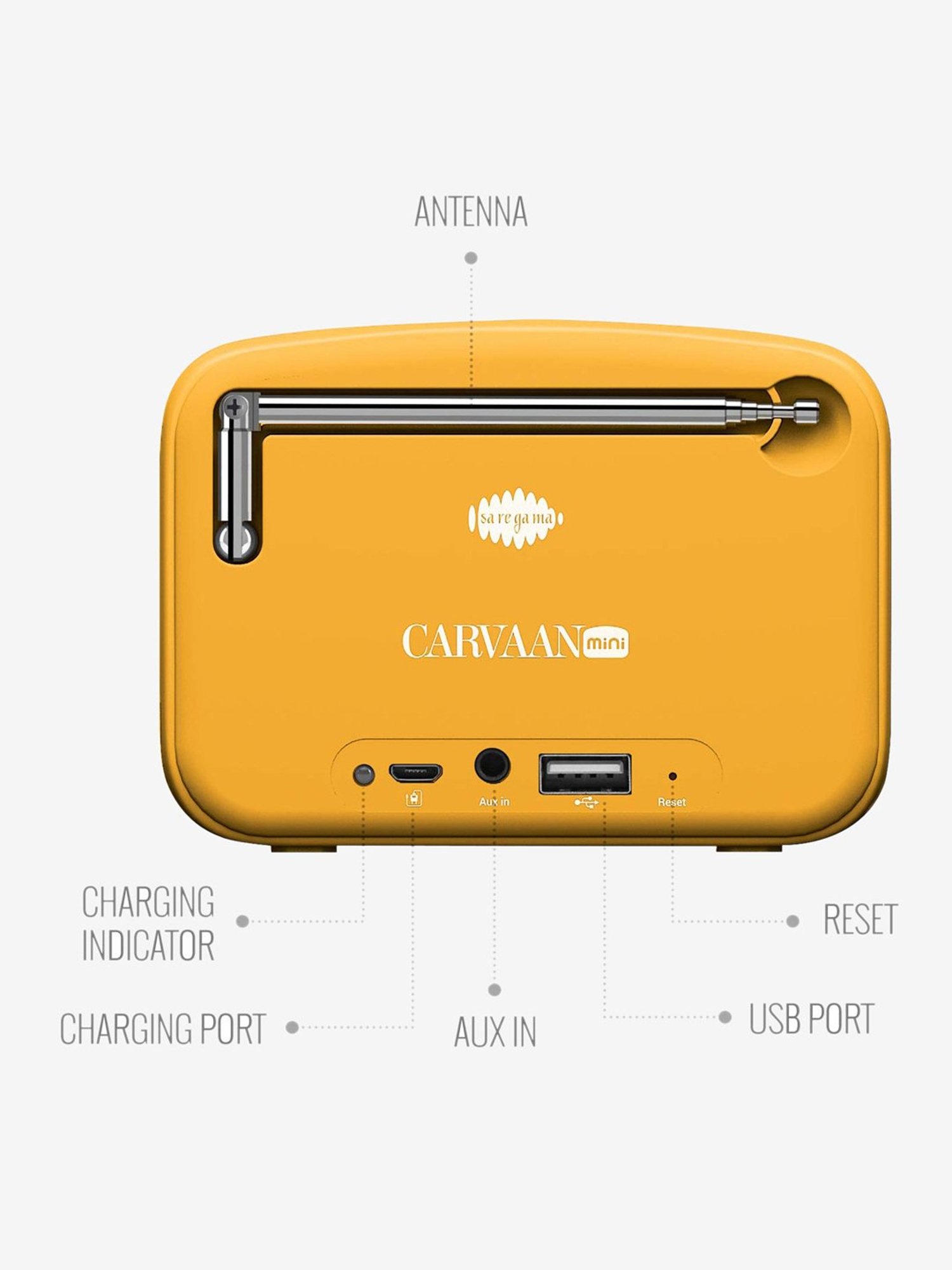 carvaan mini price