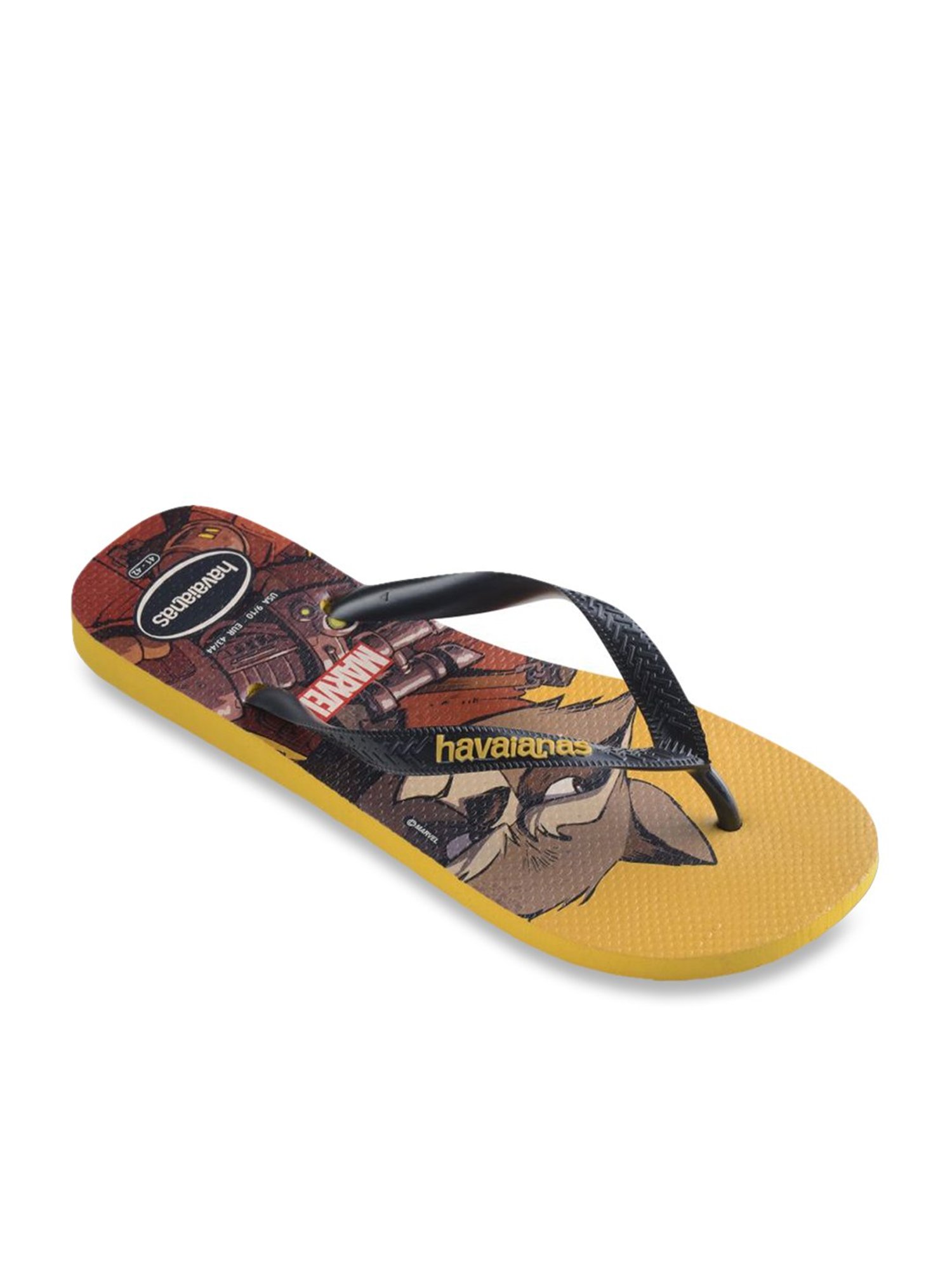 havaianas groot