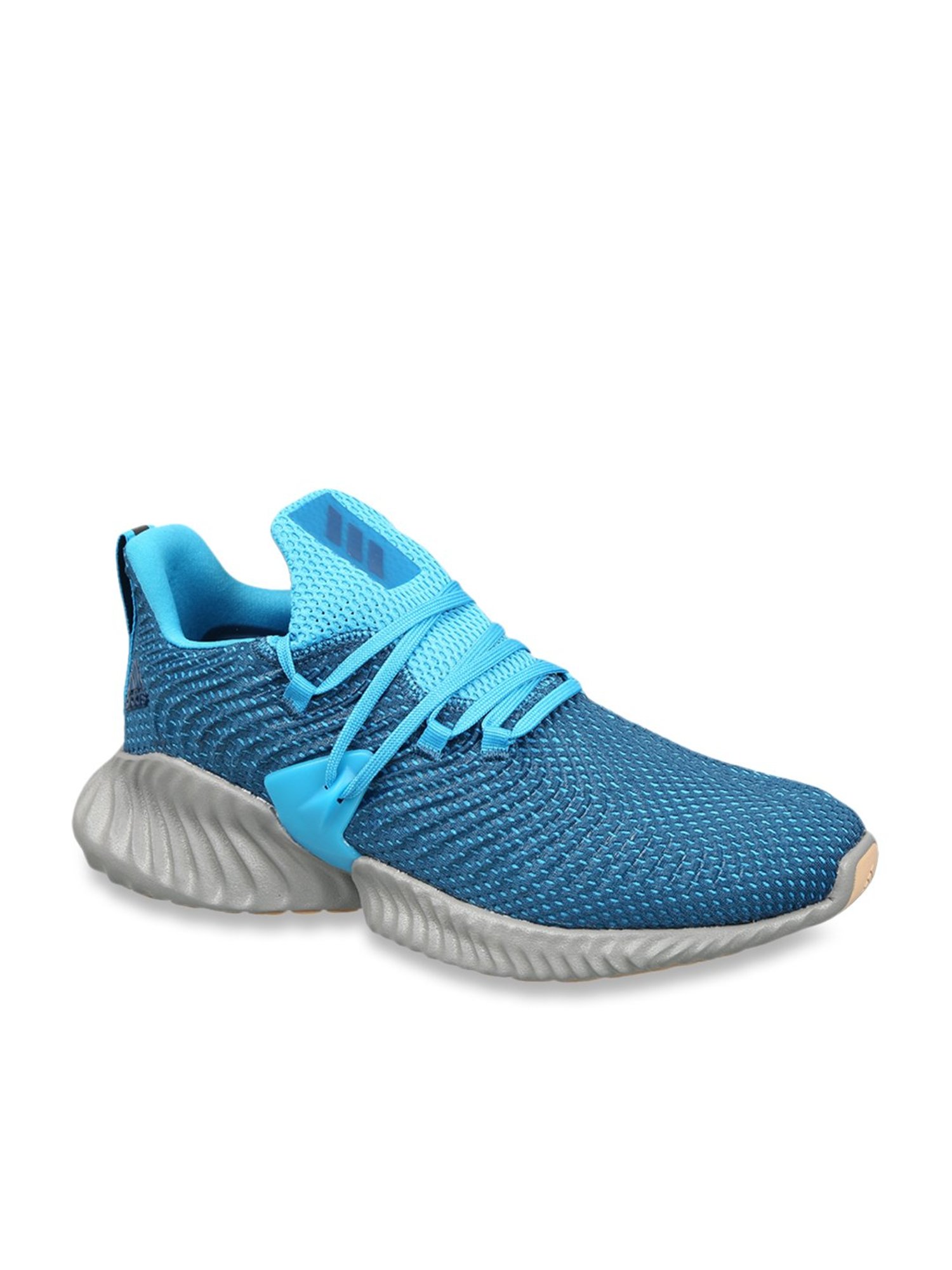 Een goede vriend aspect Ouderling Buy Adidas Alphabounce Instinct Blue Running Shoes for Men at Best Price @  Tata CLiQ