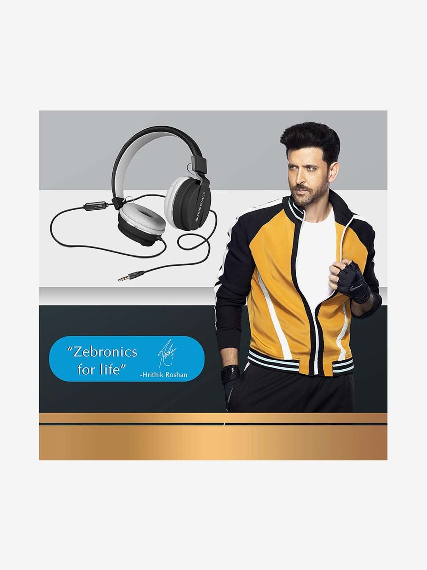 zebronics storm headphones price