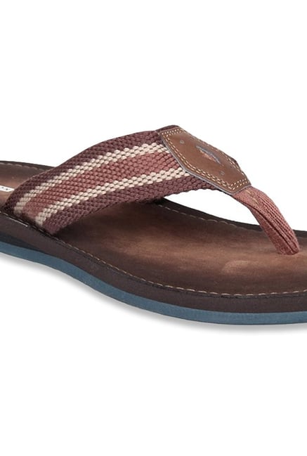 clarks lacono sun