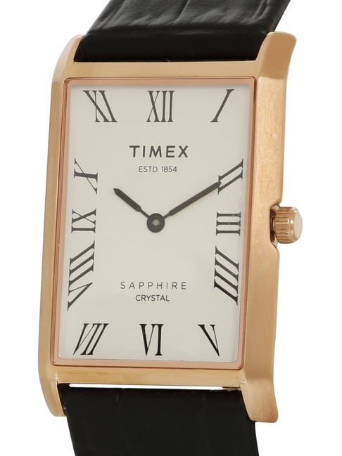 timex interval watch