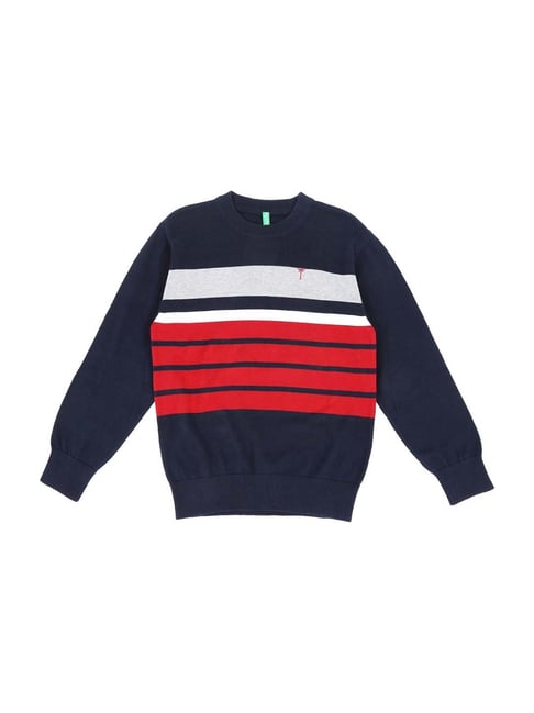 Palm Tree by Gini & Jony Kids Navy & Red Cotton Striped Sweater