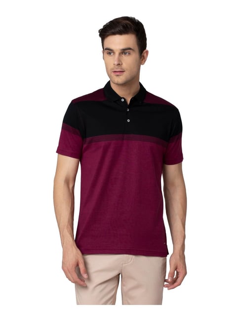 Buy Park Avenue Purple & Black Striped Polo T-Shirt for Men Online