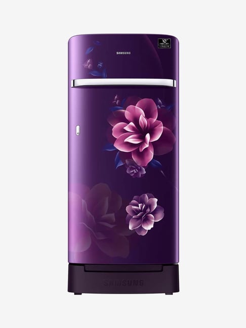 Samsung 198L Inverter 4 Star (2020) Direct Cool Single Door Refrigerator (Purple, RR21T2H2XCR/HL)