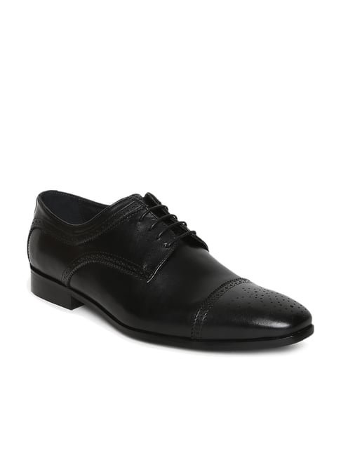 Buy JOE SHU Black Derby Shoes for Men 