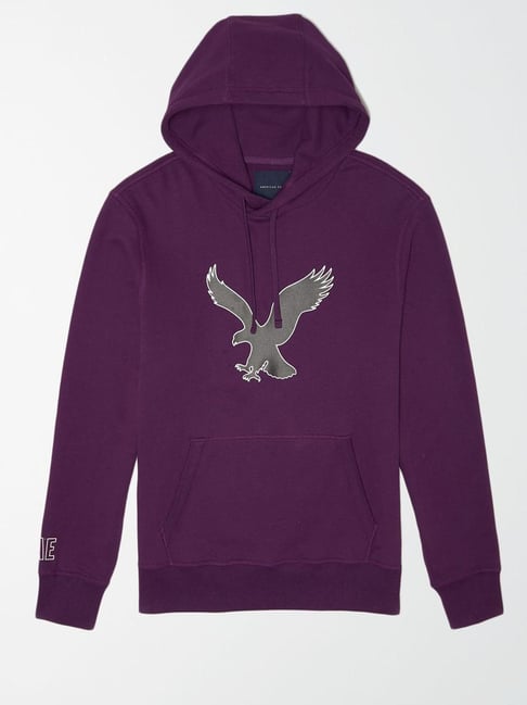 american eagle hooded sweater