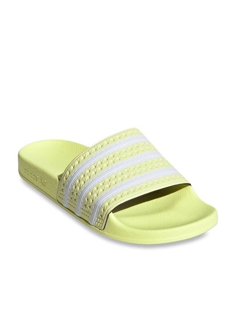 Bright yellow flipflop beach shoe summer sandals pair isolated transparent  background PNG file Stock Photo | Adobe Stock