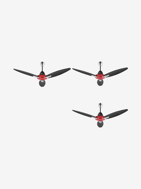 Buy Usha Bloom Daffodil 1250 Mm 3 Blades Ceiling Fan Pack Of 3 Sparkle Red And Black Online At Best Prices Tata Cliq