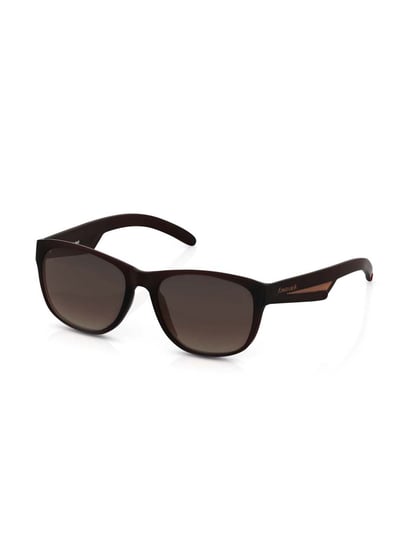 Fastrack M138BR2 Aviator Sunglasses Size - 58 Brown / Brown – SmartBuyKart