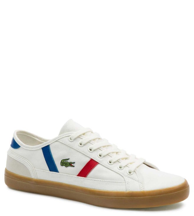 lacoste sideline canvas