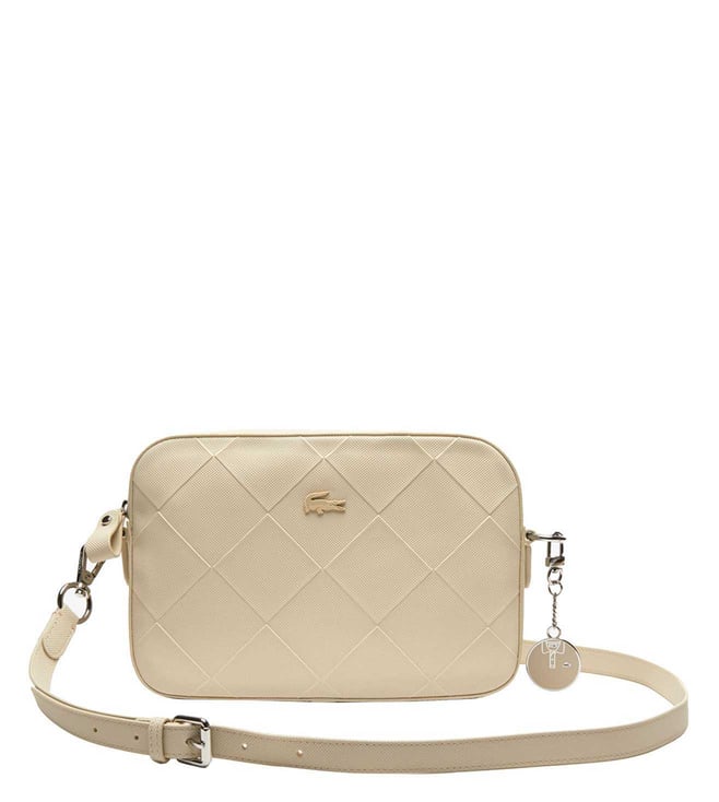 ラコステ LACOSTE DAILY CLASSIC ANIMATION ラコステ LACOSTE DAILY CLASSIC ANIMATION ラコステ LACOSTE DAILY