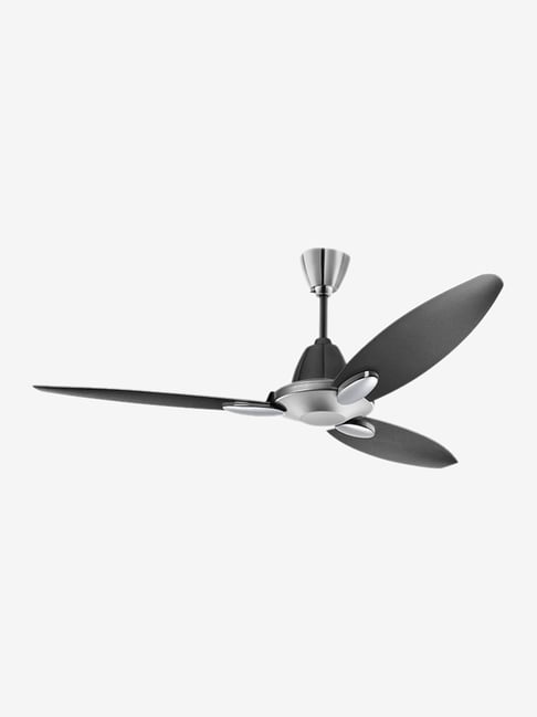 Buy Usha Bloom Daffodil 1250mm 3 Blades Ceiling Fan Online At Best