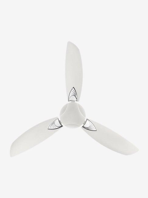 Buy Usha Bloom Primrose 1250mm 3 Blades Ceiling Fan Online At Best