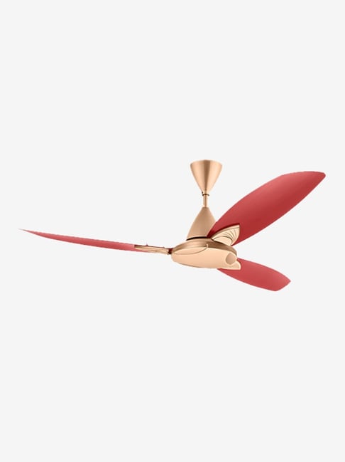 Buy Usha Bloom Primrose 1250mm 3 Blades Ceiling Fan Online At Best