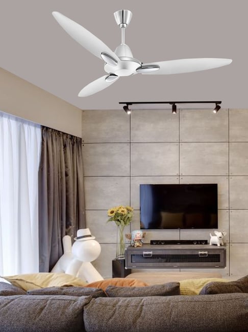 Buy Usha Bloom Daffodil 1250mm 3 Blades Ceiling Fan Online At Best