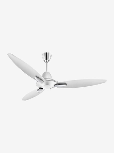 Buy Usha Bloom Daffodil 1250mm 3 Blades Ceiling Fan Online At Best