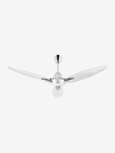 Buy Usha Bloom Daffodil 1250mm 3 Blades Ceiling Fan Online At Best