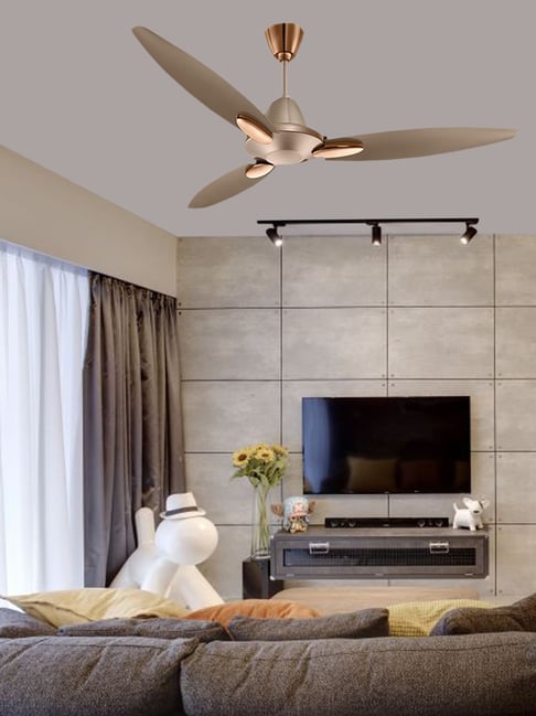 Buy Usha Bloom Daffodil 1250mm 3 Blades Ceiling Fan Online At Best