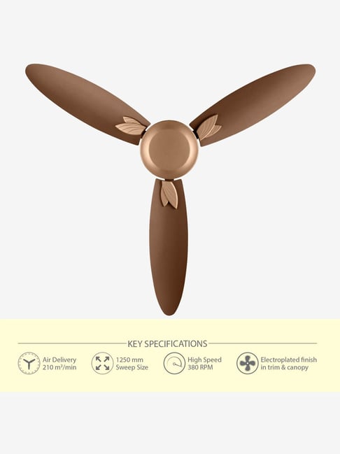 Buy Usha Bloom Daffodil 1250mm 3 Blades Ceiling Fan Online At Best
