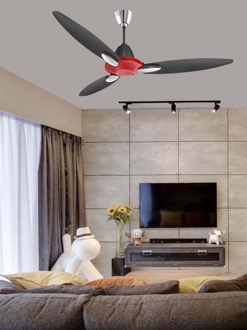 Buy Usha Bloom Daffodil 1250mm 3 Blades Ceiling Fan (Sparkle Red Black ...