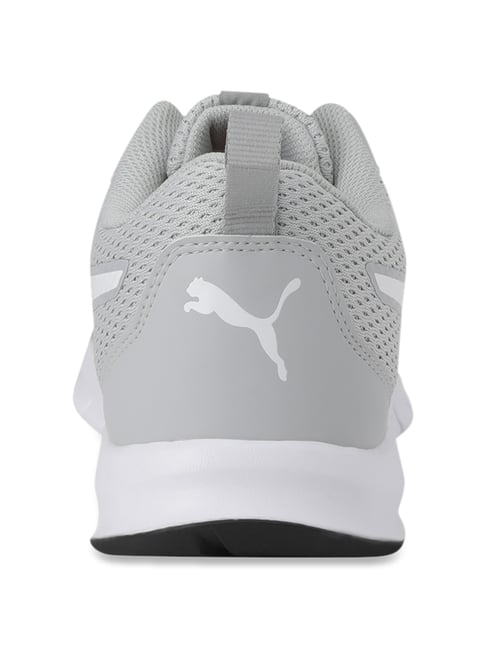 white and grey pumas