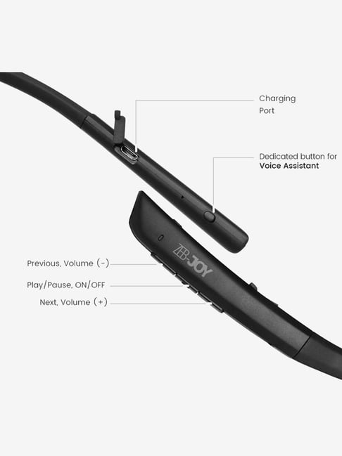 zebronics zeb joy bluetooth