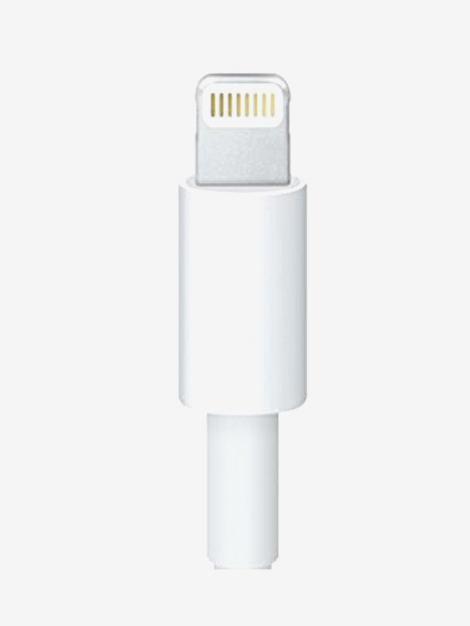 Apple Lightning to USB Cable (2m)MD819ZM/A at Rs 2900/piece, Usb Cable in  Delhi