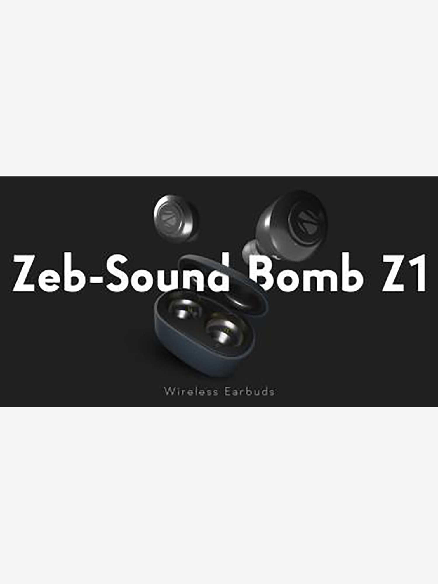 Buy Zebronics Zeb-Sound Bomb True 