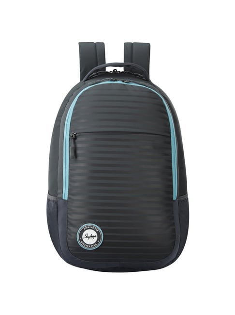 Buy SKYBAGS Blue Unisex 2 Compartment Zip Closure Laptop Backpack |  Shoppers Stop
