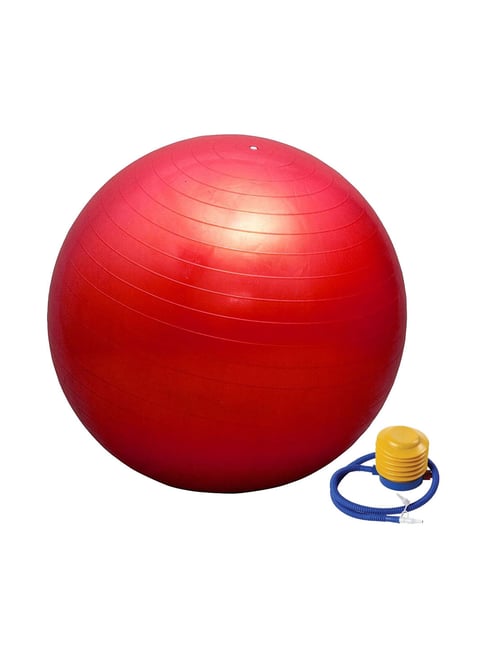 Stability ball online price