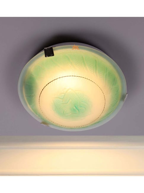 DecorativeRay Green Ceiling Light - Set of 1-picture-40