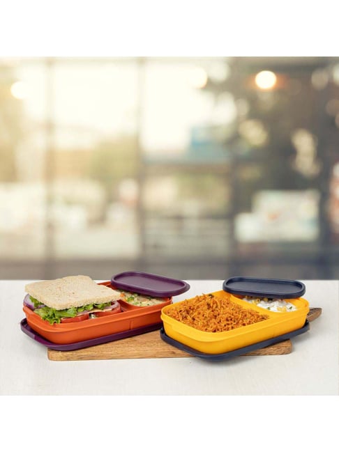 Tupperware Multicolor Lunch Boxes Set of 2