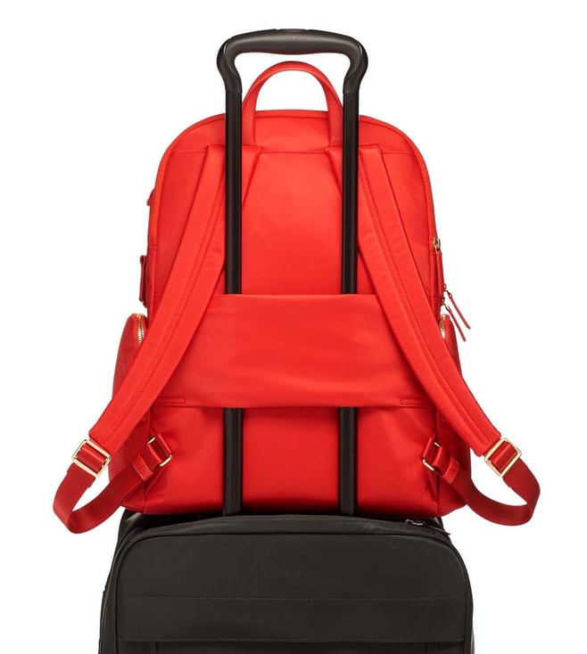 Tata Cliq Luxury Review Literacy Basics