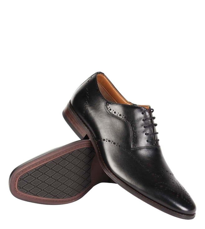 steve madden brogue shoes