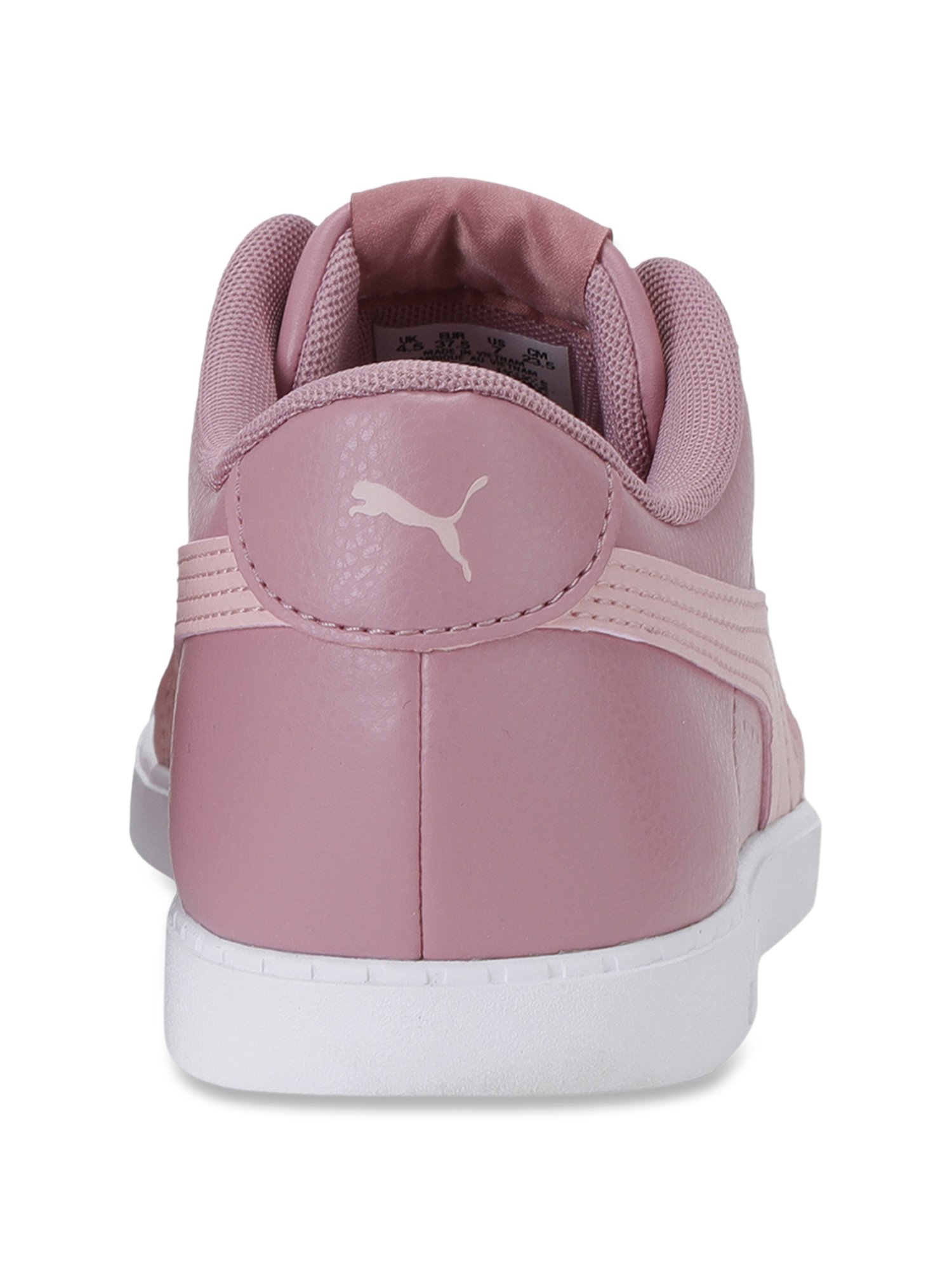 Puma carina store elderberry