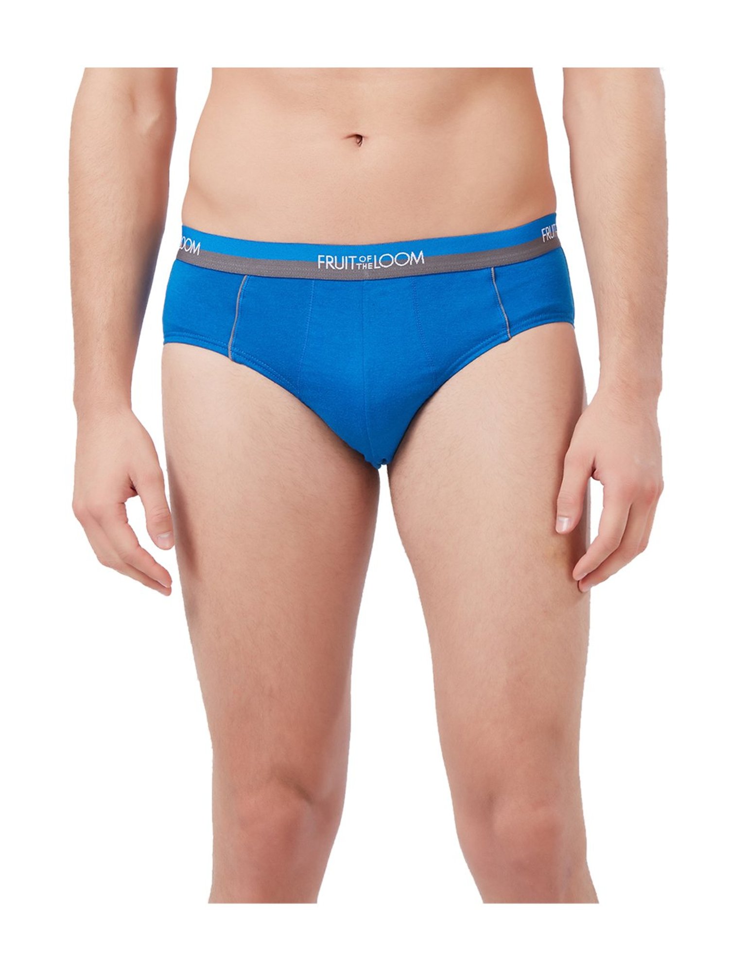 Buy Fruit of the Loom Blue Regular Fit Briefs for Men Online