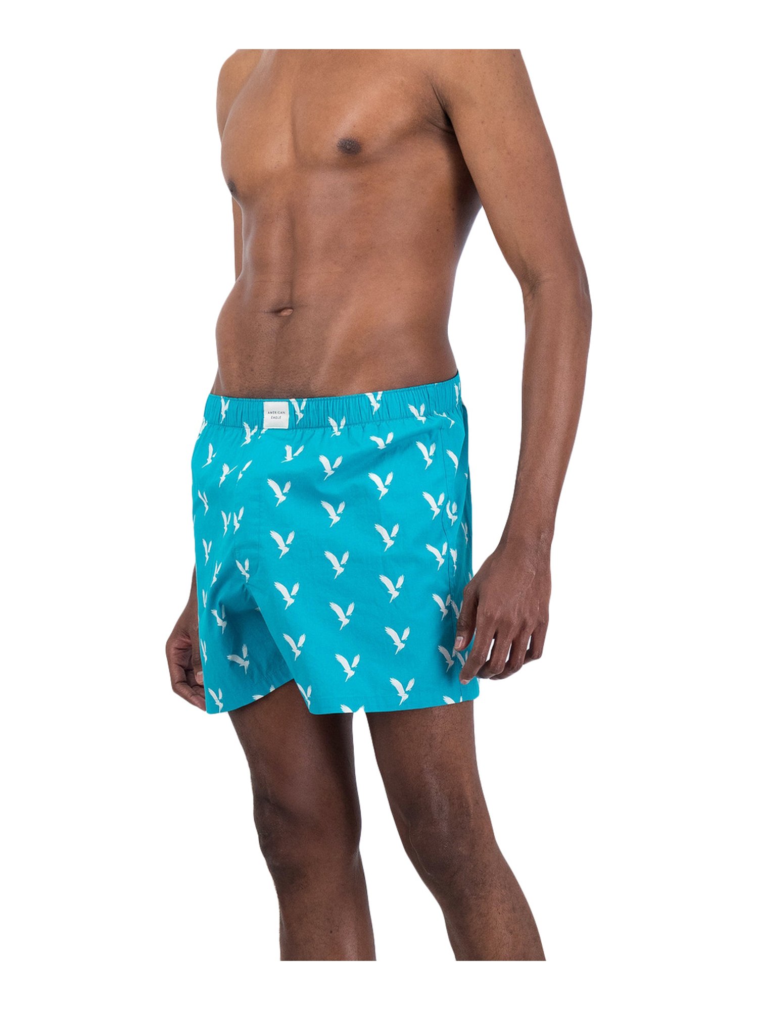 Buy American Eagle Outfitters Multicolor Printed Boxers for Mens Online @  Tata CLiQ