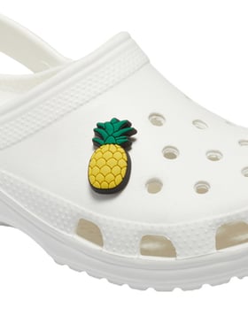 pineapple croc charms