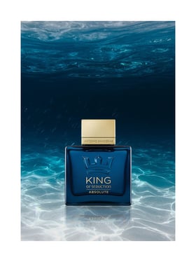 Buy Antonio Banderas King Of Seduction Eau de Toilette 100 ml