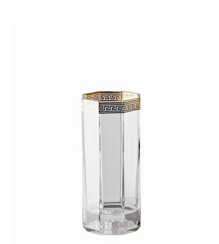 Versace by Rosenthal Medusa Lumiere Clear Water Goblet 